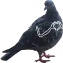 اسٹیکر