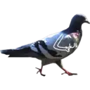 اسٹیکر