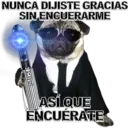 Figurinha