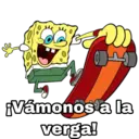 Samolepka