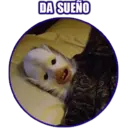 Autocolant