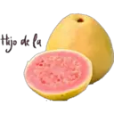 स्टिकर