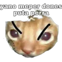 Pelekat