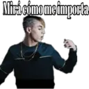 Stika