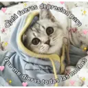 Pelekat