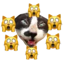 Стикер