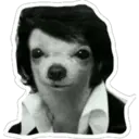 Stiker