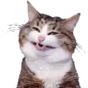 Stika
