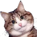 Stika