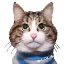 Stika