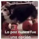 Stika