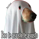 స్టికర్