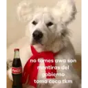 Figurinha