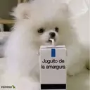 ملصق