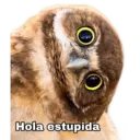 Figurinha