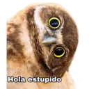 Figurinha