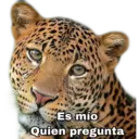 Figurinha