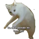 Կպչուն պիտակ