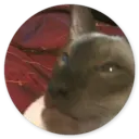 Samolepka