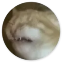 Samolepka
