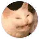 Samolepka