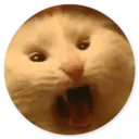 Samolepka
