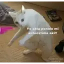 Nhãn dán