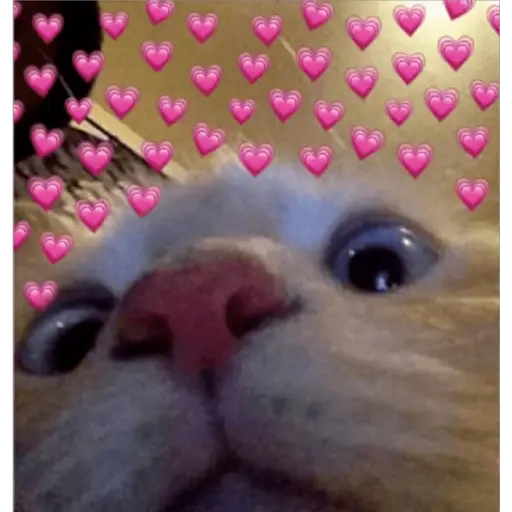 EXPLOSIÓN DE AMOR Stickers para WhatsApp