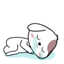 Կպչուն պիտակ