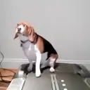 ස්ටිකර්