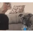 ස්ටිකර්