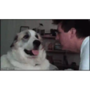 ස්ටිකර්