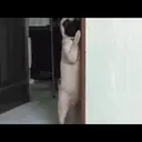 ස්ටිකර්