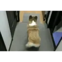 ස්ටිකර්