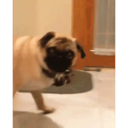 ස්ටිකර්