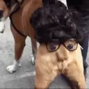 ස්ටිකර්