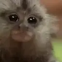 স্টিকার