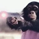 স্টিকার