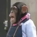 স্টিকার