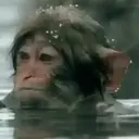 স্টিকার