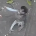 স্টিকার