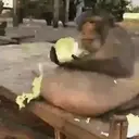 স্টিকার