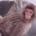 স্টিকার