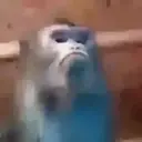 স্টিকার