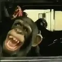 স্টিকার