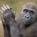 স্টিকার