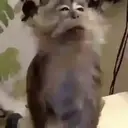 স্টিকার