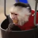 স্টিকার