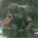 স্টিকার