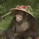 স্টিকার